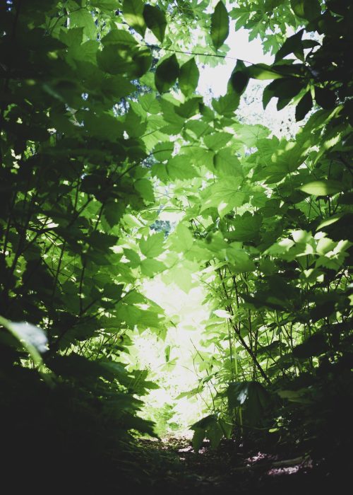 feeling-better-counselling-vancouver feeling-better-counselling-vancouver