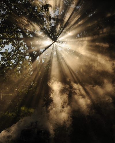 light-therapy-sad-vancouver-depression-counselling light-therapy-sad-vancouver-depression-counselling
