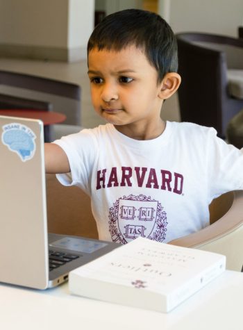 virtual-play-therapy-for-children-bc-virtual-play-therapy-for-children-vancouver virtual-play-therapy-for-children-bc-virtual-play-therapy-for-children-vancouver