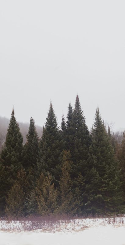 blue-monday-vancouver-seasonal-depression-counselling