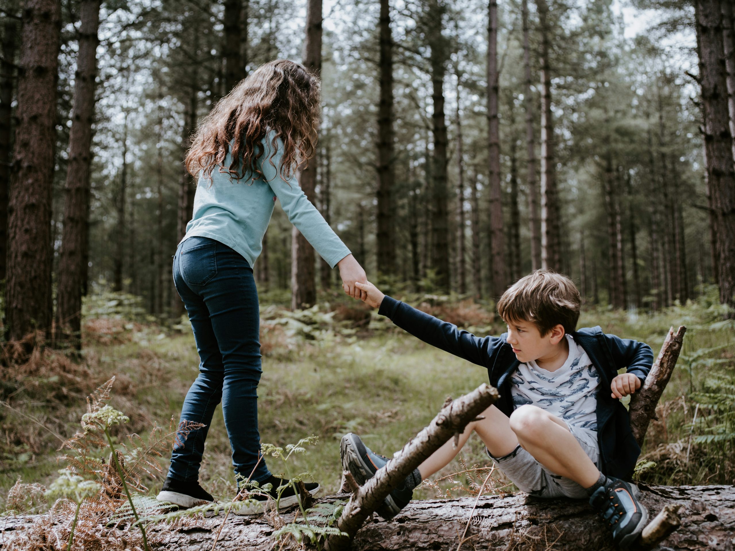 Growing Up as the Well Sibling | Vancouver Counselling Growing Up as ...