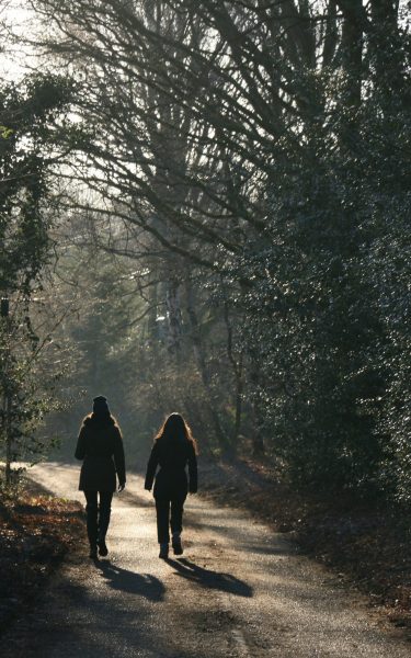 A client walking in Kitsilano after their EMDR therapy to regulate their nervous system