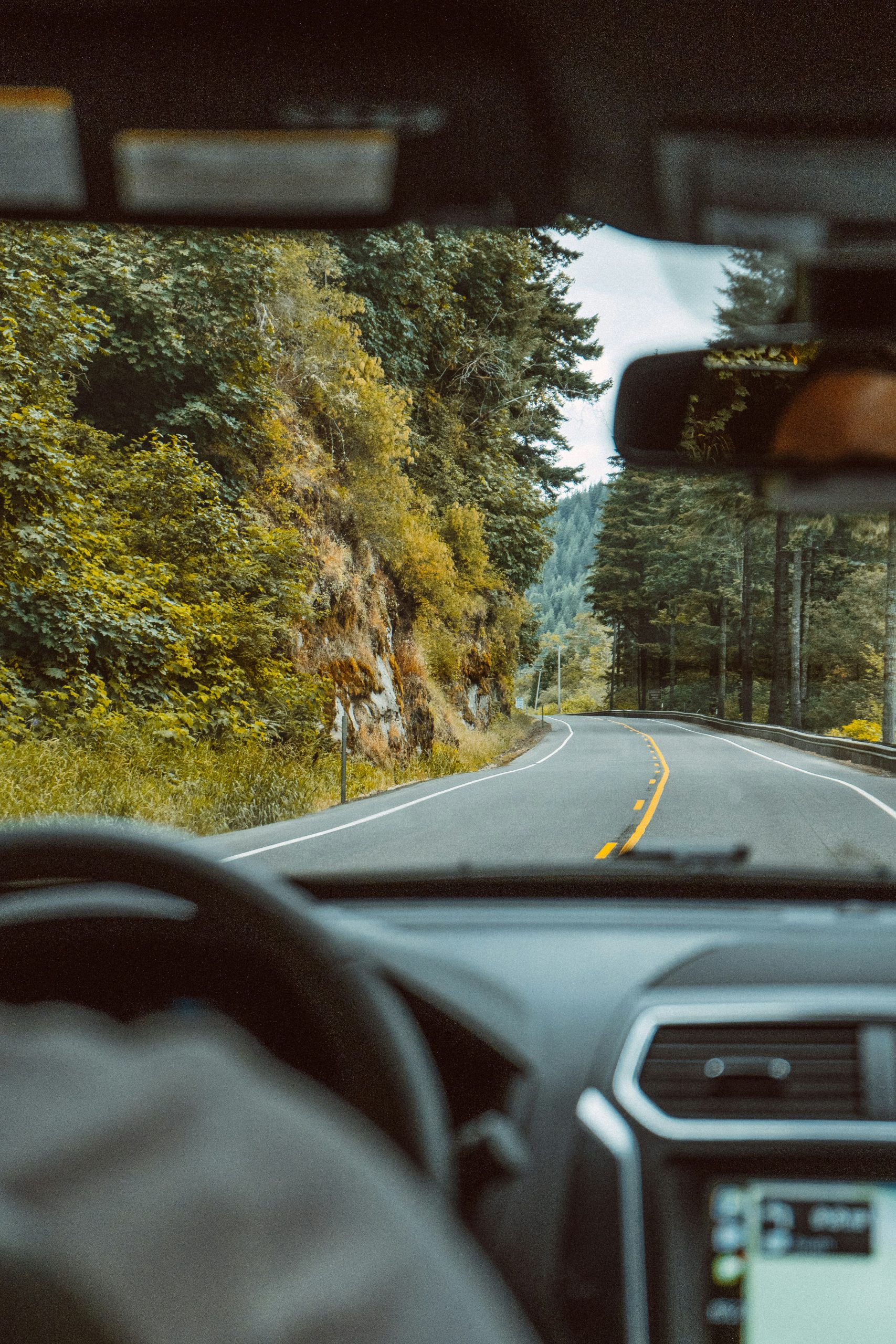 A peaceful view of Vancouver nature through a car window, symbolizing a calm nervous system and a confident return to driving after trauma therapy