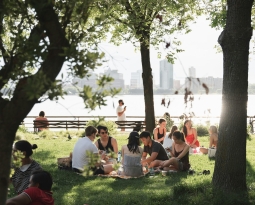 How to Care for Your Mental Health This Summer: Avoiding Burnout & Resetting Your Nervous System